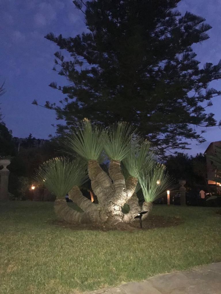 La Perciata Casa de hóspedes Contrada Maeggio Exterior foto